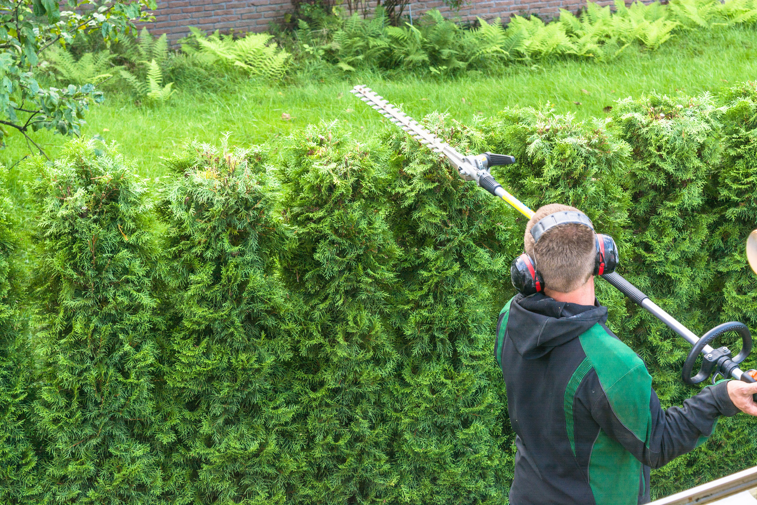 Hedge cutting petrol hedge trimmer.