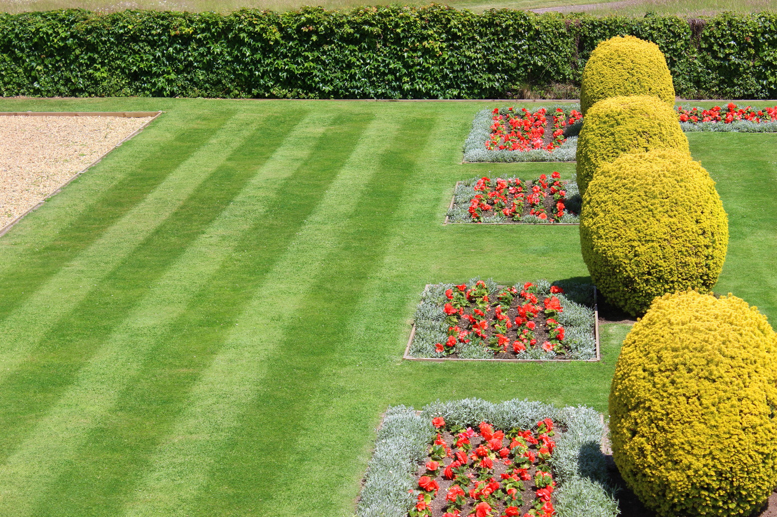 Image of park with grass green, lawn stripes, flower beds